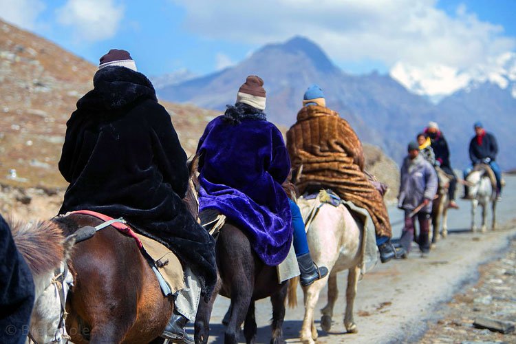 Horse Riding in Manali   