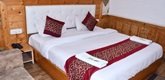Hotel The Elena Manali