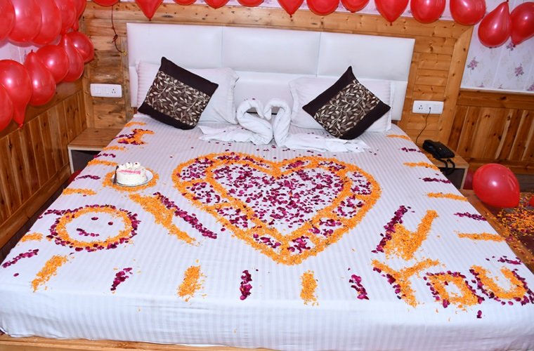 Hotel The Elena Manali