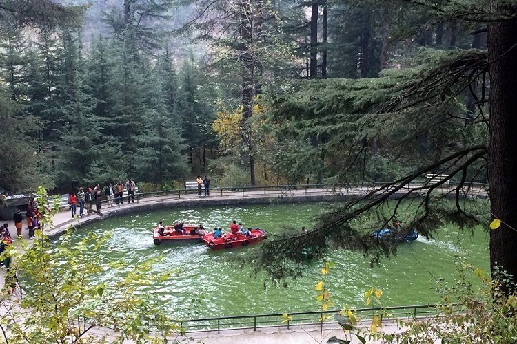 Hotel The Elena Manali