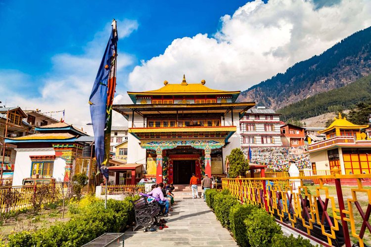 Hotel The Elena Manali